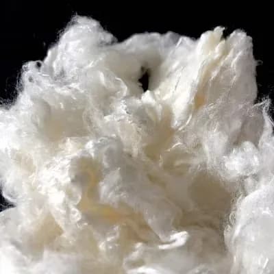Fibra Lavada