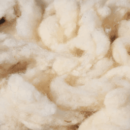 Fibra Preseleccionada