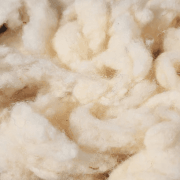 Fibra Preseleccionada