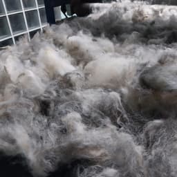 Fibra Preseleccionada