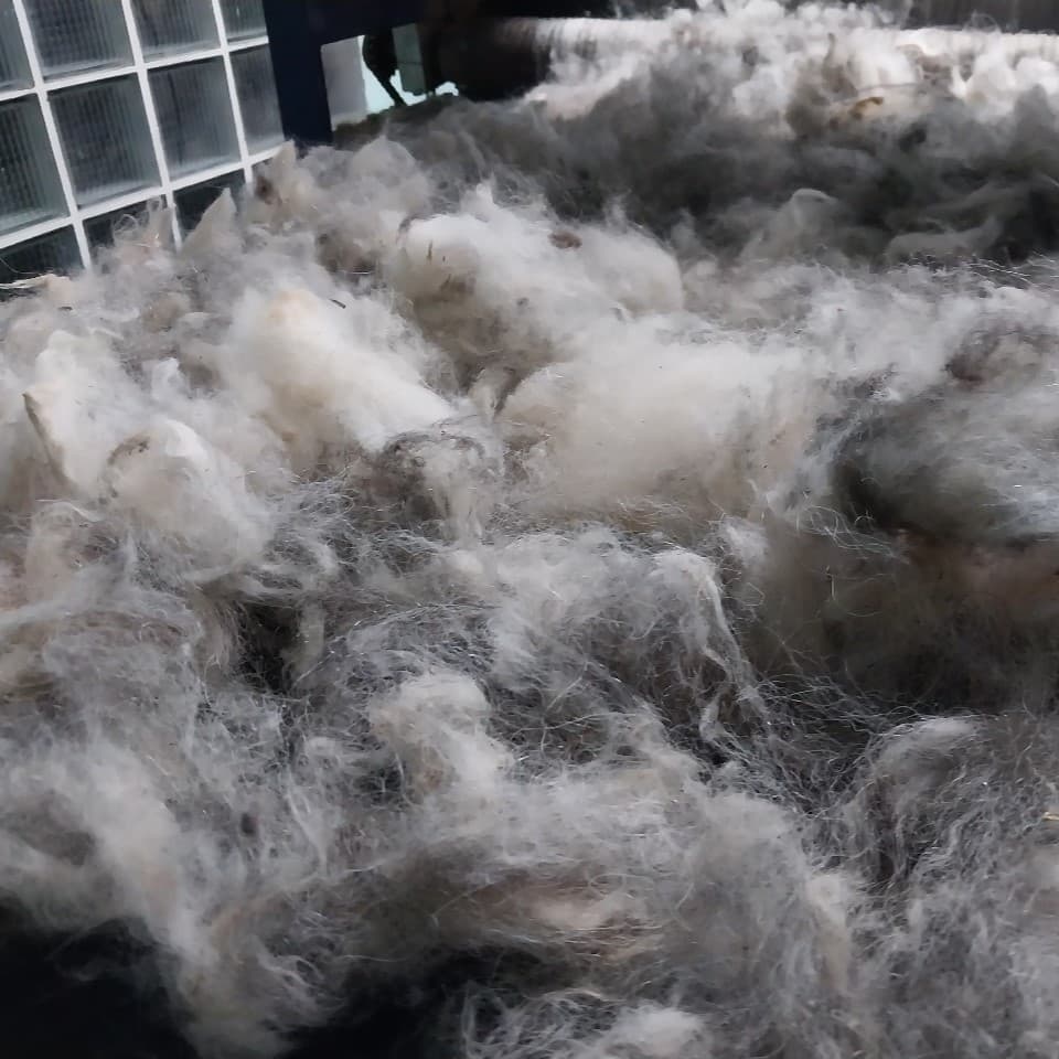 Fibra Preseleccionada